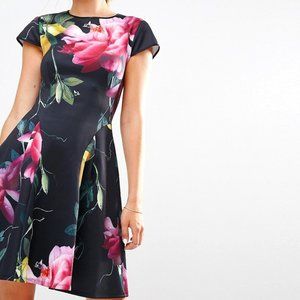TED BAKER London Allisia Citrus Bloom Skater Dress | Size 4-6